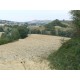 Properties for Sale_Farmhouses to restore_La Casetta in Campagna in Le Marche_5
